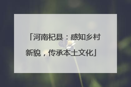 河南杞县：感知乡村新貌，传承本土文化