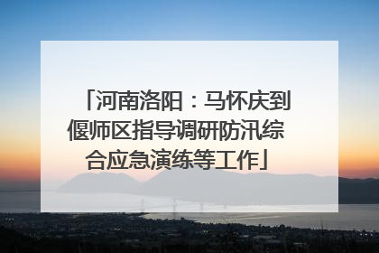 河南洛阳：马怀庆到偃师区指导调研防汛综合应急演练等工作
