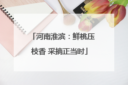 河南淮滨：鲜桃压枝香 采摘正当时
