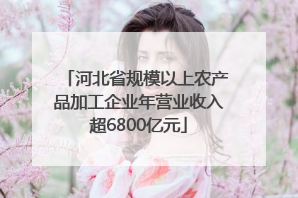 河北省规模以上农产品加工企业年营业收入超6800亿元