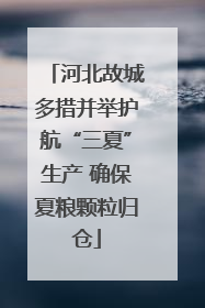 河北故城多措并举护航“三夏”生产 确保夏粮颗粒归仓