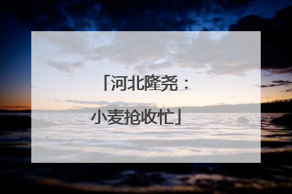 河北隆尧：小麦抢收忙