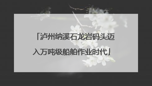 泸州纳溪石龙岩码头迈入万吨级船舶作业时代