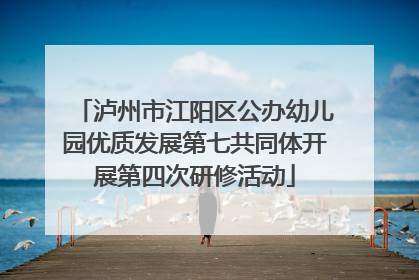 泸州市江阳区公办幼儿园优质发展第七共同体开展第四次研修活动