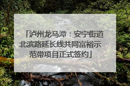 泸州龙马潭：安宁街道北滨路延长线共同富裕示范带项目正式签约