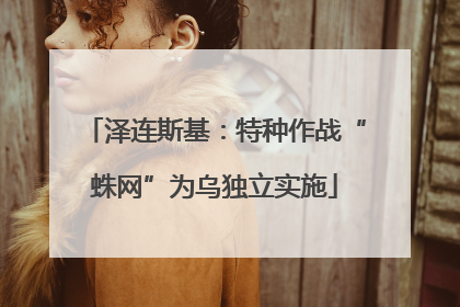 泽连斯基：特种作战“蛛网”为乌独立实施