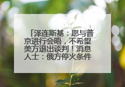 泽连斯基：愿与普京进行会晤，不希望美方退出谈判！消息人士：俄方停火条件包括北约“书面”保证不东扩
