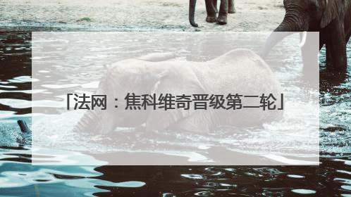 法网：焦科维奇晋级第二轮