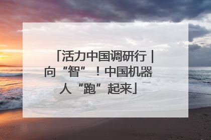 活力中国调研行｜向“智”！中国机器人“跑”起来