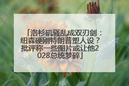 洛杉矶骚乱成双刃剑：纽森硬刚特朗普塑人设？批评称一些图片或让他2028总统梦碎