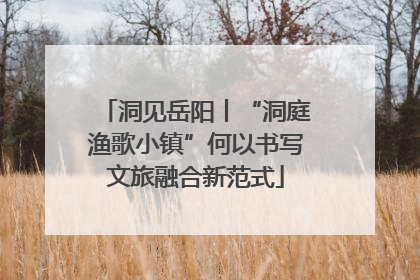 洞见岳阳丨“洞庭渔歌小镇”何以书写文旅融合新范式