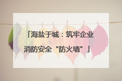 海盐于城：筑牢企业消防安全“防火墙”