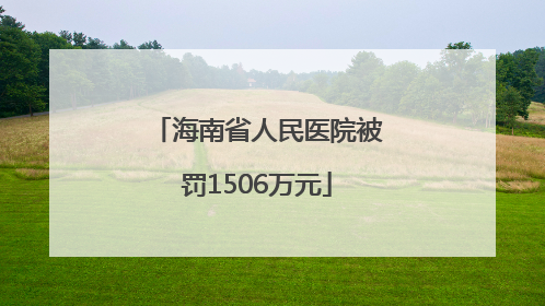 海南省人民医院被罚1506万元
