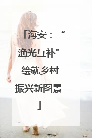 海安：“渔光互补” 绘就乡村振兴新图景
