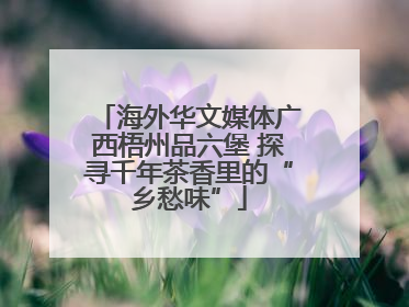 海外华文媒体广西梧州品六堡 探寻千年茶香里的“乡愁味”