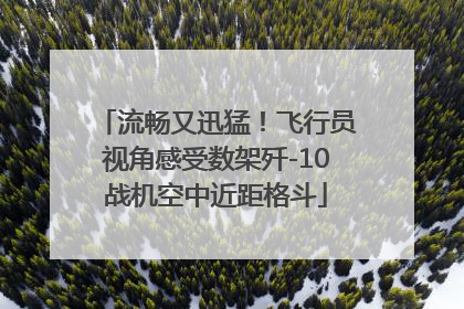 流畅又迅猛！飞行员视角感受数架歼-10战机空中近距格斗