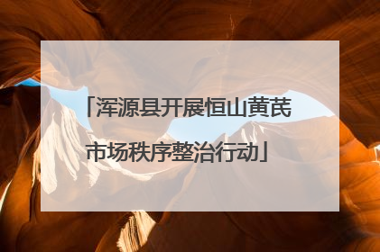 浑源县开展恒山黄芪市场秩序整治行动