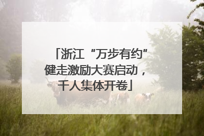 浙江“万步有约”健走激励大赛启动，千人集体开卷