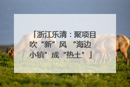 浙江乐清：聚项目吹“新”风 “海边小镇”成“热土”