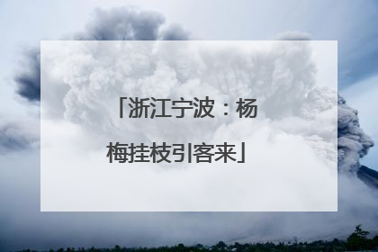 浙江宁波：杨梅挂枝引客来