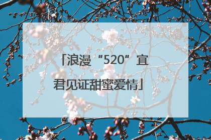 浪漫“520”宜君见证甜蜜爱情
