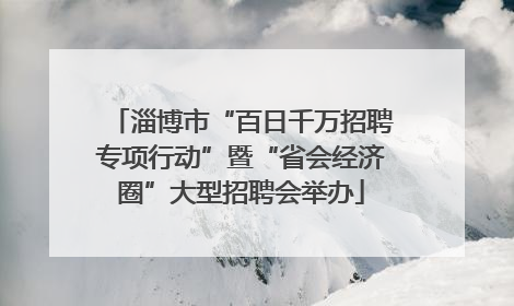 淄博市“百日千万招聘专项行动”暨“省会经济圈”大型招聘会举办