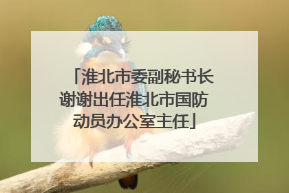 淮北市委副秘书长谢谢出任淮北市国防动员办公室主任