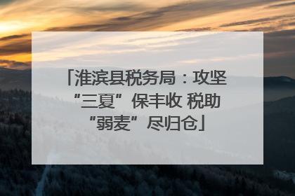 淮滨县税务局：攻坚“三夏”保丰收 税助“弱麦”尽归仓