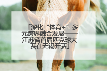 深化“体育+”多元跨界融合发展——江苏省首届匹克球大赛在无锡开赛
