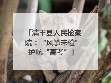 清丰县人民检察院：“风筝未检”护航“高考”
