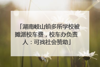 湖南岐山镇多所学校被摊派校车费，校车办负责人：可找社会赞助