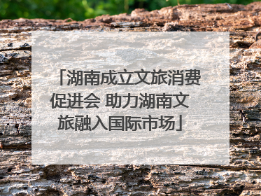 湖南成立文旅消费促进会 助力湖南文旅融入国际市场