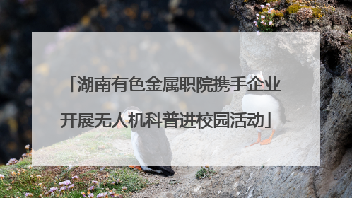 湖南有色金属职院携手企业开展无人机科普进校园活动
