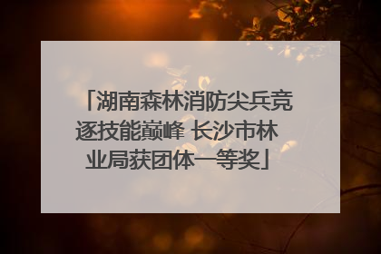 湖南森林消防尖兵竞逐技能巅峰 长沙市林业局获团体一等奖