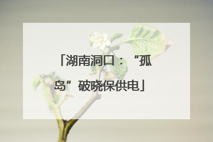 湖南洞口：“孤岛”破晓保供电