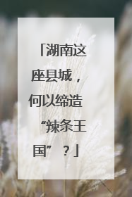 湖南这座县城，何以缔造“辣条王国”？