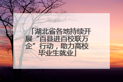 湖北省各地持续开展“百县进百校联万企”行动，助力高校毕业生就业
