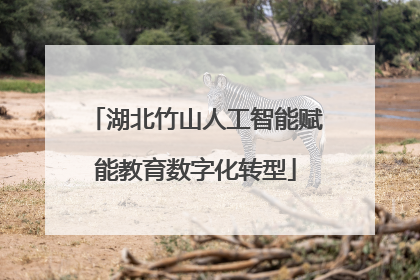 湖北竹山人工智能赋能教育数字化转型