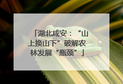湖北咸安：“山上换山下”破解农林发展“瓶颈”