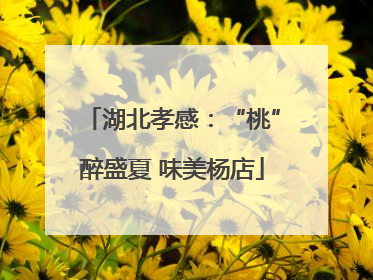 湖北孝感：“桃”醉盛夏 味美杨店