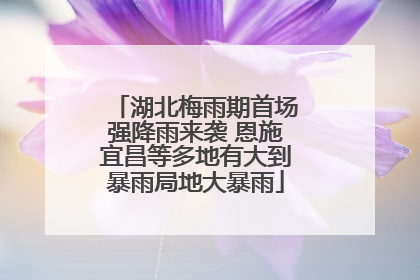 湖北梅雨期首场强降雨来袭 恩施宜昌等多地有大到暴雨局地大暴雨