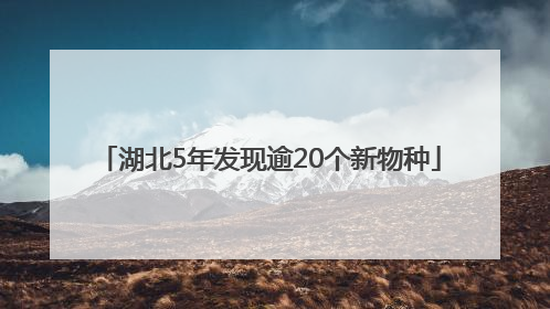 湖北5年发现逾20个新物种