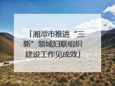 湘潭市推进“三新”领域妇联组织建设工作见成效