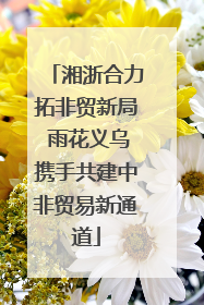 湘浙合力拓非贸新局 雨花义乌携手共建中非贸易新通道