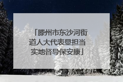 滕州市东沙河街道人大代表显担当实地督导保安康