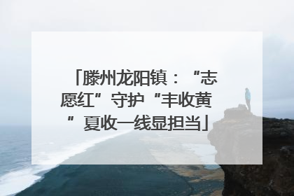 滕州龙阳镇：“志愿红”守护“丰收黄”夏收一线显担当