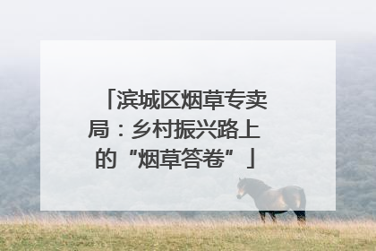 滨城区烟草专卖局：乡村振兴路上的“烟草答卷”