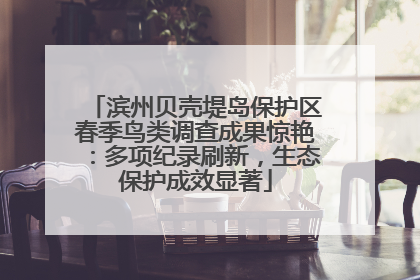滨州贝壳堤岛保护区春季鸟类调查成果惊艳：多项纪录刷新，生态保护成效显著