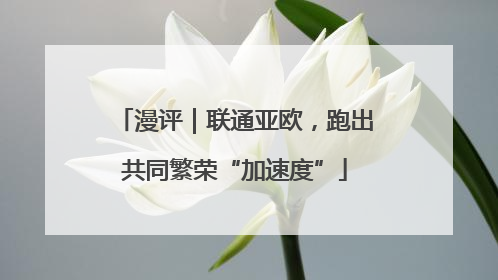 漫评｜联通亚欧，跑出共同繁荣“加速度”