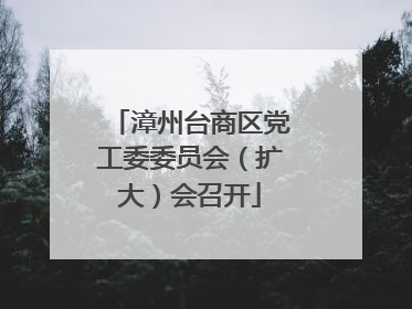 漳州台商区党工委委员会（扩大）会召开